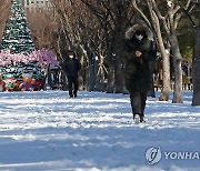 변화무쌍 겨울..대전·세종·충남 1월 기온 변동 신기록