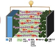 전남대 연구팀, 전기차 화재 위험 낮춘 '전고체 배터리' 개발