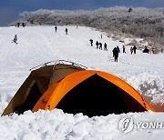 선자령 설경 만끽하는 등산객