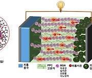 전남대 연구팀, 전기차 화재 위험 낮춘 '전고체 배터리' 개발