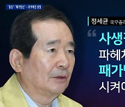 "패가망신" 과격해진 당정..시장 재보궐 선거 때문?