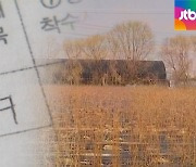 "벼농사짓겠다"며 농지 취득..보상 노린 듯 나무 심어