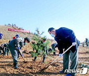 북한 남포시에서 봄철 나무심기 한창인 근로자들