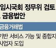 정무위 활동에 숨죽인 금융권..주요 쟁점법안은(종합)