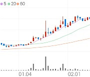 무림P&P, -9.06% VI 발동