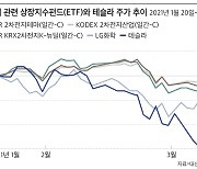 [투자노트] 테슬라 떨어져도 2차 전지는 부활한다