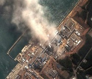 "탄소중립에 원자력 필수.. 후쿠시마 사고 이후 안전 강화 추세"