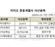 카카오, 금융복합기업집단 지정 제외