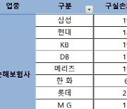 롯데손보 등 실손보험료 올해 최고 20% 이상 인상 전망