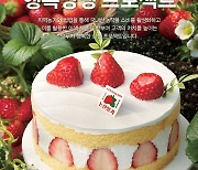 파리바게뜨, 논산 청정딸기로 만든 케이크 출시