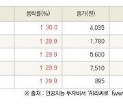 [fnRASSI]오늘의 상한가, 동국알앤에스 30.0% ↑