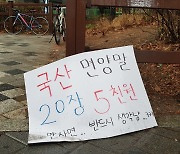 [포토에세이] 안 사면 후회 / 강창광