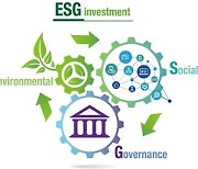 대기업들 ESG채권 발행 활발하지만..'그리니엄'은 아직