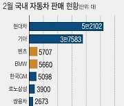 내수 급등한 자동차..특정 브랜드 '쏠림' 심화