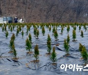 계속된 LH 땅투기 후폭풍..부총리·장관 사과에도 성난민심 확산