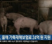 강원도, 올해 가축재해보험료 24억 원 지원