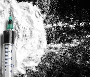 국내 최대 마약 유통책 검거..필로폰 2만여명 동시 투약분 압수