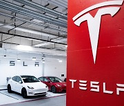 Tesla tumble disappoints Korean stockholders