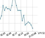 대상홀딩스 현금 배당 결정