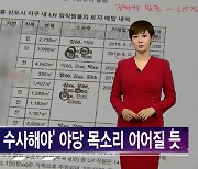 국수본이냐 검찰이냐..여야, 'LH 투기 의혹' 수사방식 이견[김주하 AI 뉴스]