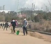 서산 대산공단 인근 주민 도로에 솓아진 우드 펠렛에 놀라