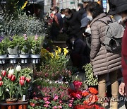 포근한 날씨, 붐비는 종로꽃시장