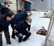 강원 폭설 피해 현장 점검