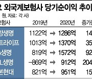 매각설 떠돌던 외국계 보험사들..'호실적' 비결은(종합)