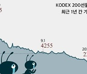 사면초가 놓인 '곱버스 개미'..손실률 최고 80% 넘어