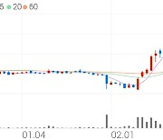 대한그린파워, +12.50% VI 발동