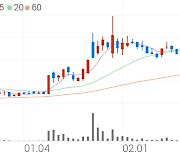 에이디칩스, +5.75% VI 발동