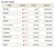 [fnRASSI]장마감, 거래소 상승 종목(백광산업 17.6% ↑)