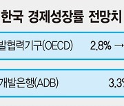 OECD "韓, 올해 코로나 이전 회복"