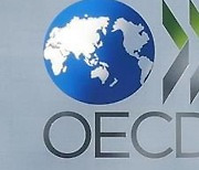 OECD, 올해 한국경제 3.3% 성장 전망..석달만에 0.5%p 올려