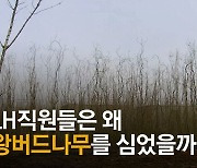 "회식자리에서도 땅 투자 얘기"..기업문화로 본 LH 투기 의혹
