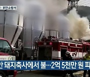 부안 돼지축사에서 불..2억 5천만 원 피해