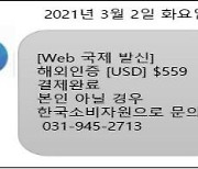 "해외결제됐으니 문의하라"..소비자원 사칭 문자메시지 주의보