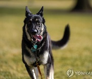 바이든 '퍼스트독' 경호원 물어 원래 살던 자택으로