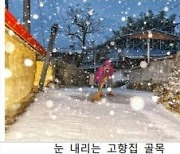 신비로운 기상기후 사진·영상.."대상을 직접 뽑아주세요"