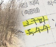 양재동 꽃시장에 판다더니..처벌 사각지대 '엉터리 농사계획서'