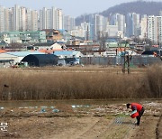 느슨해진 농지법, 만만해진 투기