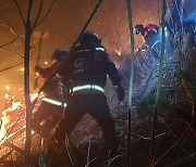 전남 곡성에서 산불..4시간여 만에 진화