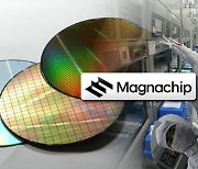 MagnaChip Semiconductor up for sale, stoking interest at home and abroad