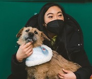 한국계 할리우드 배우 아콰피나, 한국 유기견 입양..이름은 '행운이'