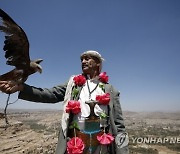 epaselect YEMEN ANIMALS FALCON