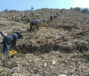 완주군, 산림 285㏊에 편백나무 등 72만그루 심기 시작