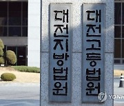 "고양이 피하려다가"..알고보니 고의로 사고 내고 보험금 타