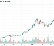 비트코인 사상 첫 6만달러 돌파, 급등한 이유 알고보니..