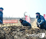 "병사 시절 기백으로"..제대군인 역할 강조하는 북한