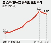 美 스팩 상장의 꿈 좇아간 개미들.. 공매도 공포에 떤다